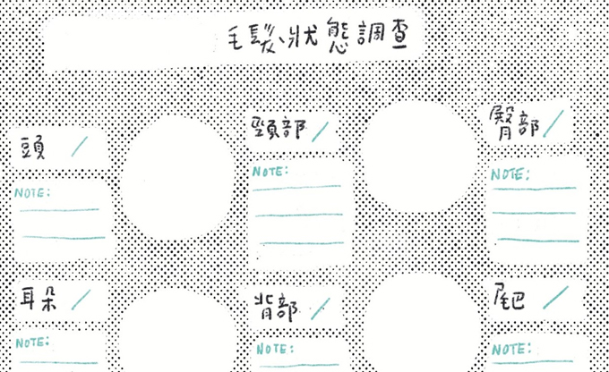 練習05 毛髮大調查