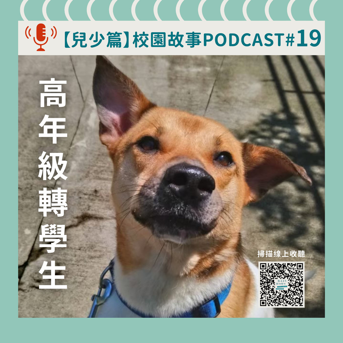 《校園故事時間》兒少篇EP19 高年級轉學生
