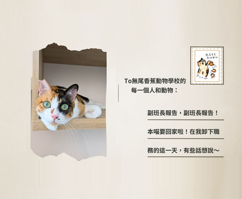 《校園故事時間》兒少篇EP24 副班長的最後一封信